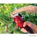 WSYY-prune Ciseaux électriques à la Menthe Ciseaux électriques Rechargeables Outil Professionnel d'élagage de Jardin Importés d'arbres fruitiers de 30mm B07RNMGKVD